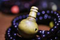 老六道木三通_2026.01.05-9