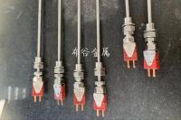 出口级测温元件-钨铼热电偶5