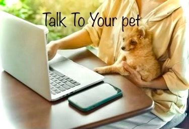 talk to your pet