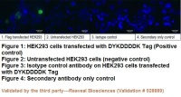 BTL1005-IF-Flagtag