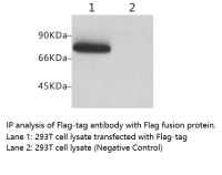 BTL1005-IP-FlagTag