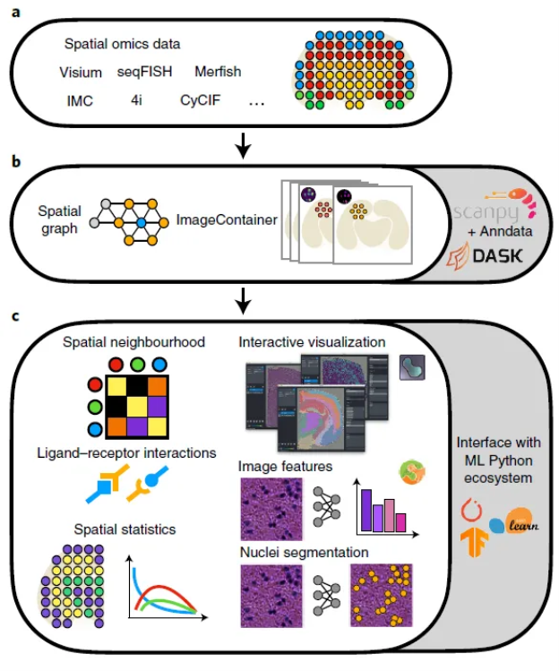 Fig.1 Squidpy软件框架和数据分析流程