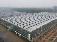 65237fc3ec317