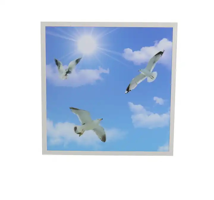 Aa58e8ed2280e4acfbb66cd1cc2dfa4bbb.png_720x720q50_看图王.web