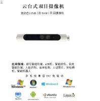 双目白色-小