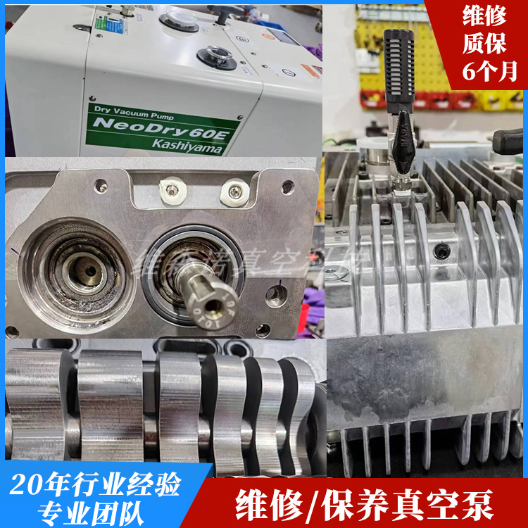 干式泵NeoDry60E维修