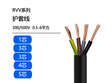 13.1--RVV电缆