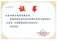 省专精特新中小企业证书