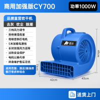 CY-700