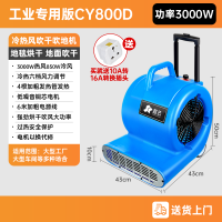 CY-800D
