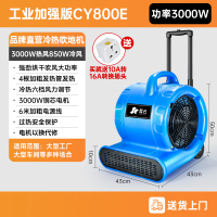 CY-800E-1
