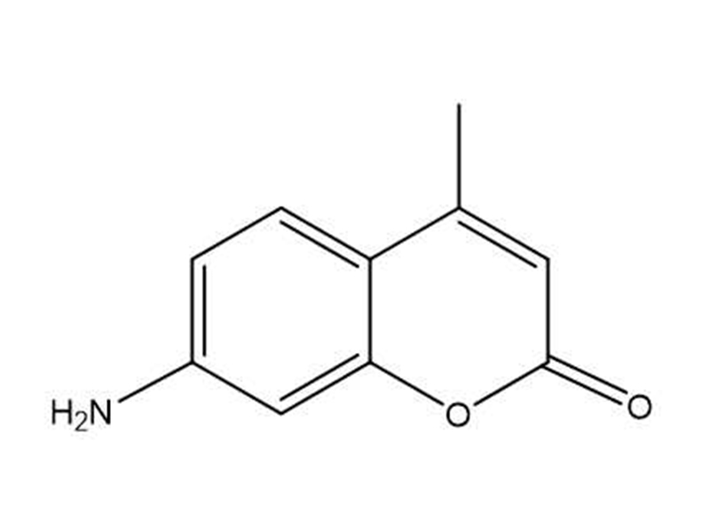 7-氨基-4-甲基香豆素