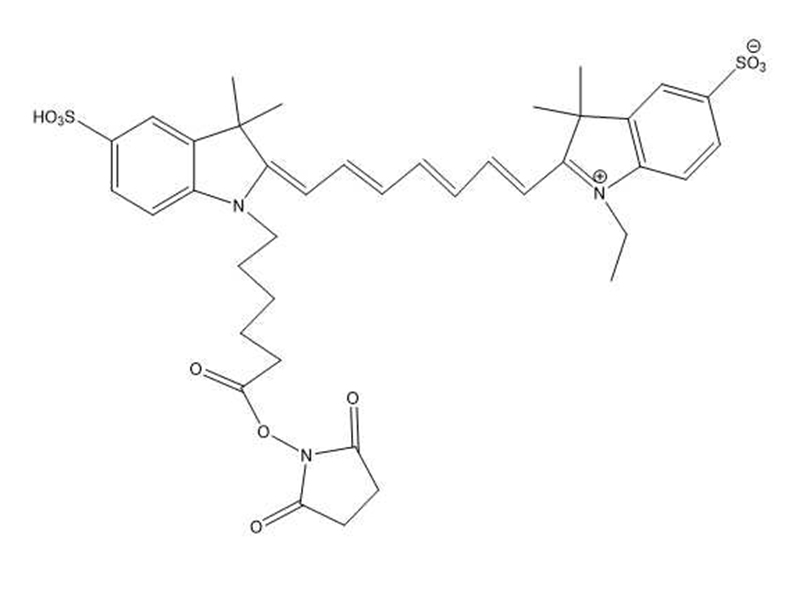 cy7NHS酯