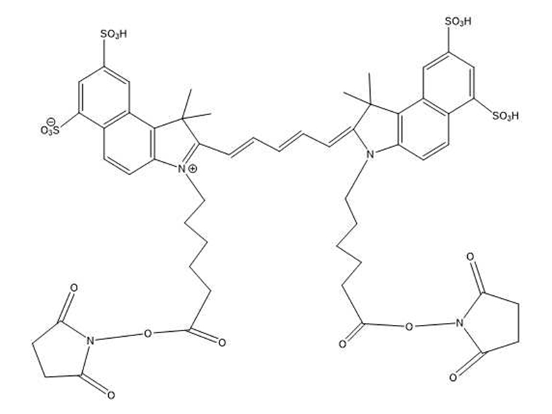 cy5.5双NHS酯