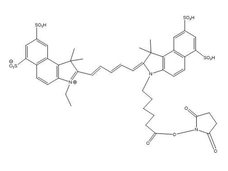 cy5.5NHS酯
