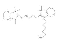 Cy5NS酸