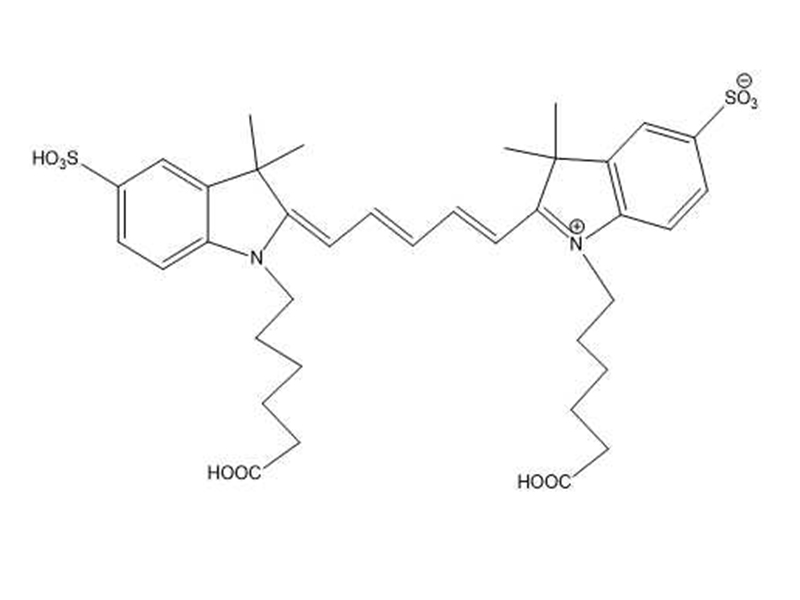 Cy5双酸