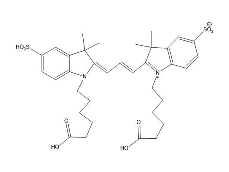 Cy3双酸