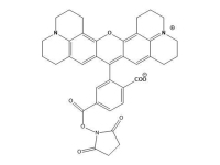 6-羧基-X-罗丹明琥珀酰亚胺酯