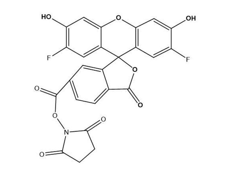 6-OG488,SE