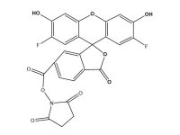6-OG488,SE
