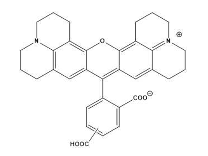 5-6-ROX5-6-羧基-X-罗丹明,5-6-羧基-X-罗丹明盐酸盐