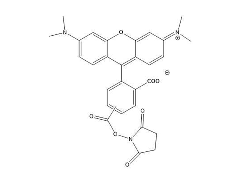 5-6-TAMRA,SE5-6-羧基四甲基罗丹明琥珀酰亚胺酯