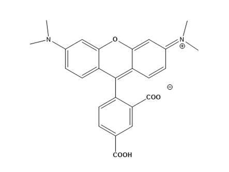 5-TAMRA5-羧基四甲基罗丹明