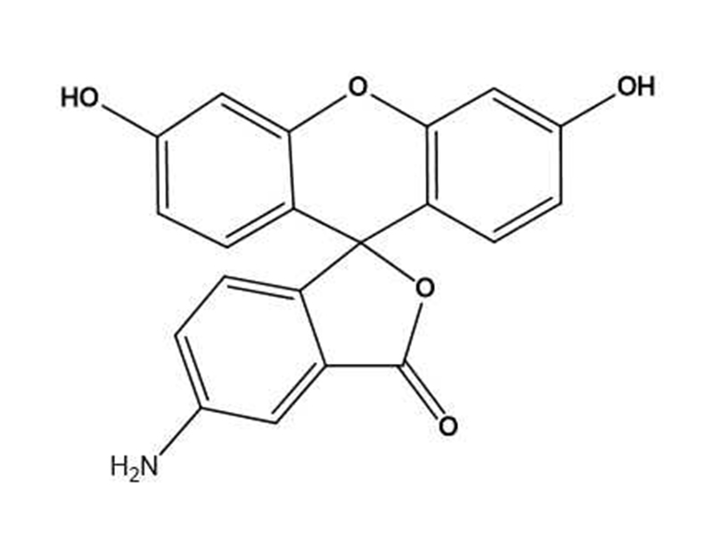 5-氨基荧光素