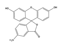 5-氨基荧光素