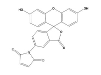 荧光素-5-马来酰亚胺