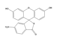 6-氨基荧光素