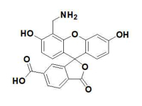4'-氨甲基-6-羧基荧光素