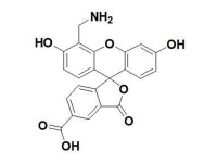 4'-氨甲基-5-羧基荧光素