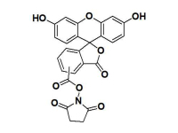 6-FAM,SE6-羧基荧光素琥珀酰亚胺酯