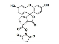 5-6-FAM,SE5-6-羧基荧光素琥珀酰亚胺酯
