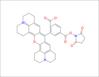 6-羧基-X-罗丹明琥珀酰亚胺酯-,-6-ROX-SE-,-CAS-216699-36-4