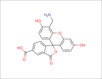 4'-氨甲基-5-羧基荧光素-CAS326802-08-8