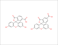 5-6-FAM-5-6-羧基荧光素-C