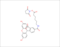 5-FAM-X,-SE-5-羧基荧光素琥珀酰亚胺酯-CAS148356-00-7