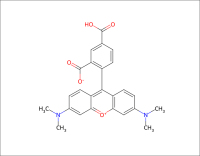 5-TAMRA-5-羧基四甲基罗丹明-CAS91809-66-4