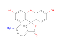 6-氨基荧光素-CAS51649-83-3