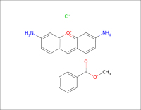 罗丹明-123-CAS62669-70-9