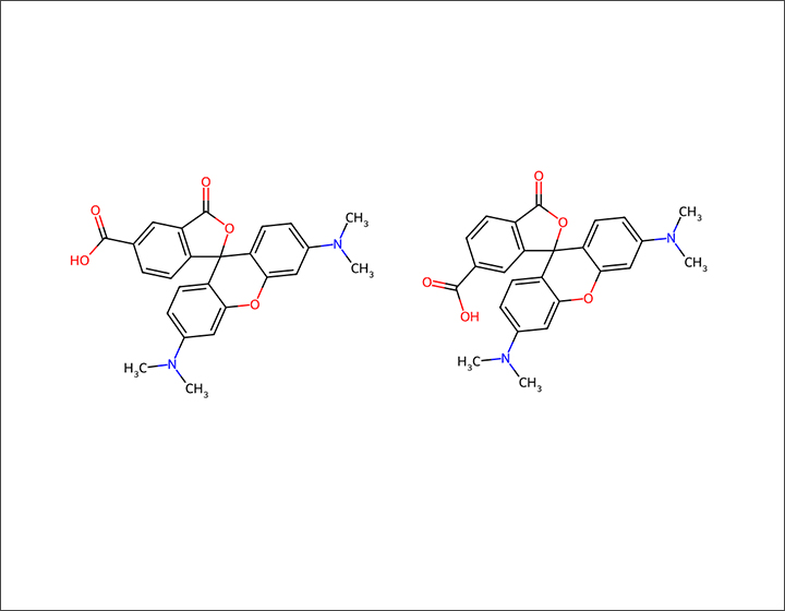 5-6-TAMRA-5-6-羧基四甲基罗丹明-CAS98181-63-6
