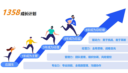 强规划 - 管培生