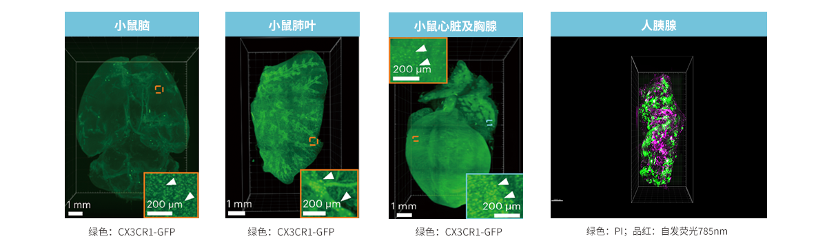 海卓生物应用案例展示