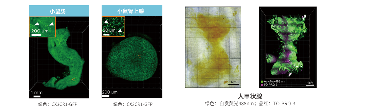 海卓生物-应用案例展示