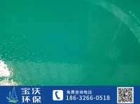 环氧玻璃鳞片涂料1