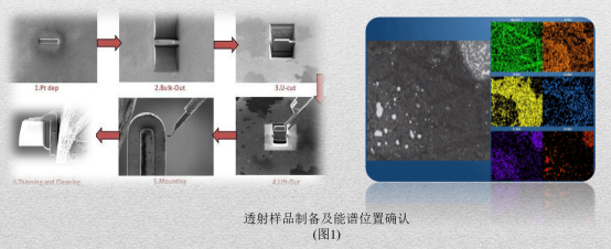 图片包含 文本

AI 生成的内容可能不正确。