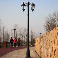 景观灯-6f6c17e0fc87025190e996a690828b0a